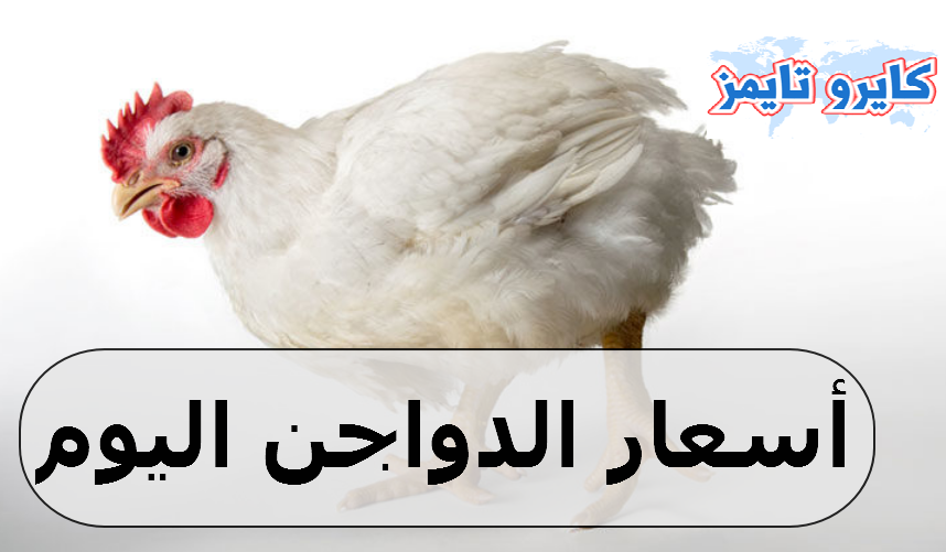 اسعار الفراخ البيضاء اليوم السبت 31-10-2020