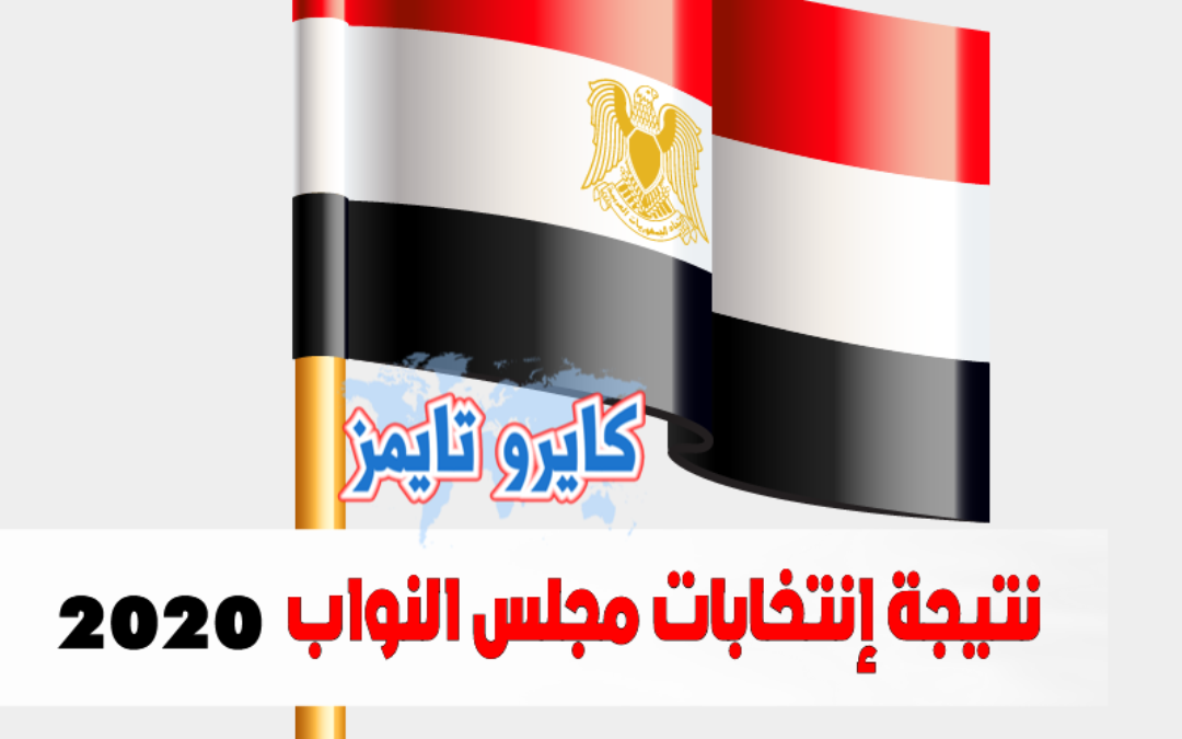 مين اللي نجح في انتخابات مجلس النواب 2020