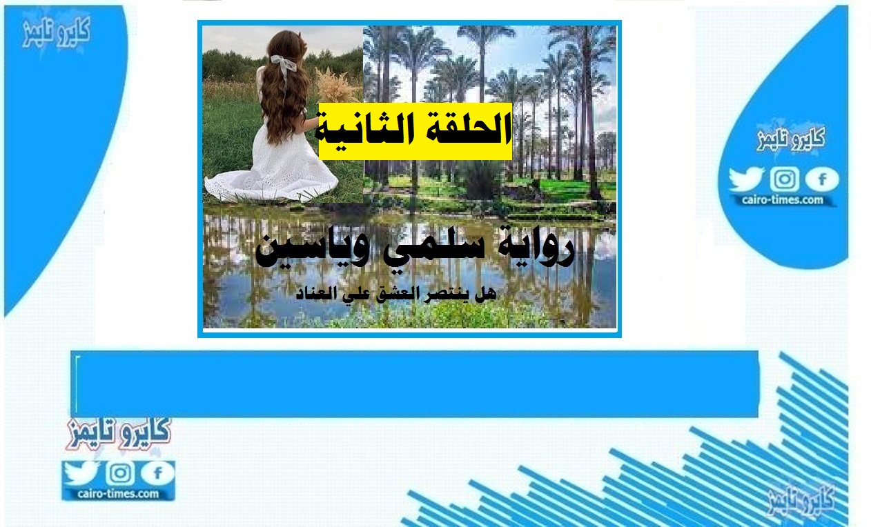 رواية سلمي وياسين الحلقة الثانية ” الشاطر ياسين يبدأ المغامرة”