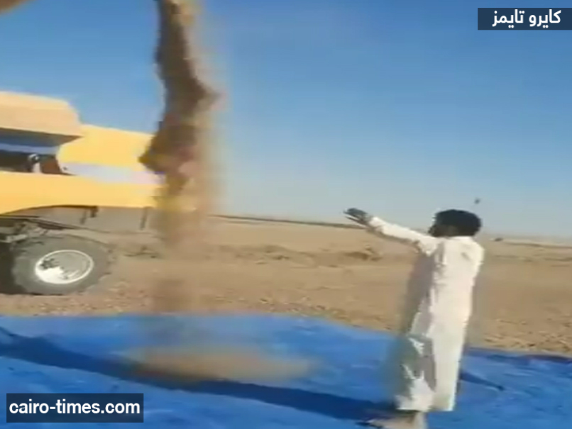 شاهد فيديو فرحة مواطن عراقي بمحصول القمح