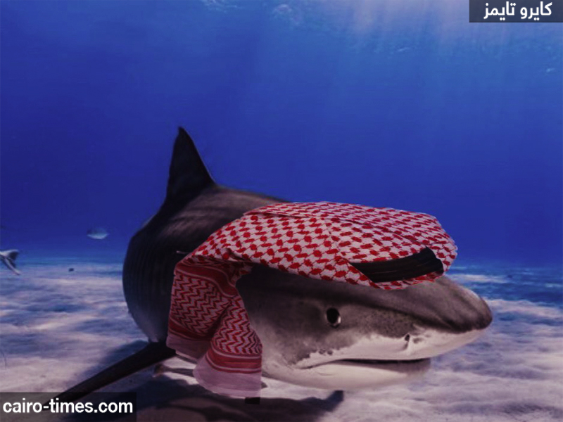 ما قصة القرش السعودي وهل هي مؤامرة حقا؟! | تفاصيل