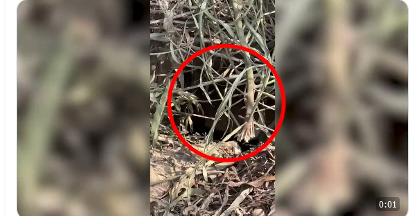 جيش الاحتلال يزعم انه اكتشف مجموعة من الأنفاق الخاصة بمقاتلي حماس