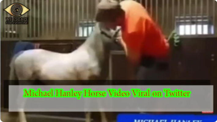 michael hanley horse video reddit ؜video