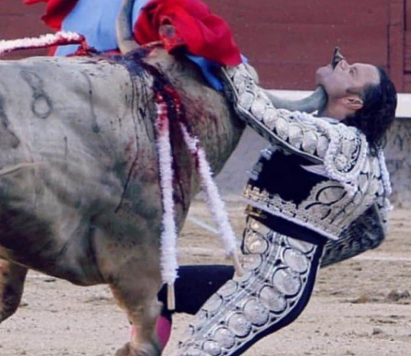 هجوم الثيران علي البشر