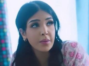 الفنانة زينب بهمن