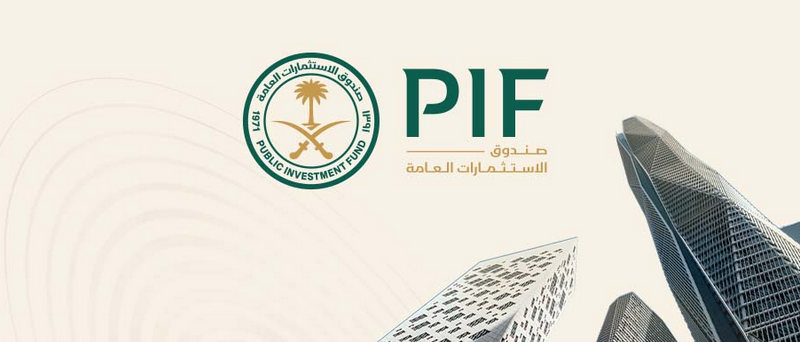 كم عدد الشركات التي تأسست في محفظة صندوق الاستثمارات العامة (PIF)؟